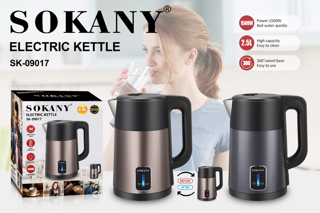 ការដាំទឹកអគ្គិសនី SOKANY